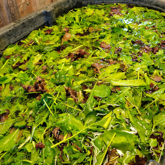 Salad Mix - Nutrient-rich, flavorful blend